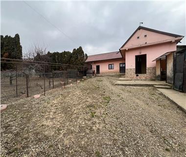 vanzare casa la tara Dumesti