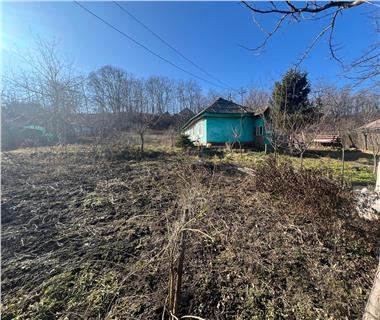 vanzare casa la tara Horlesti