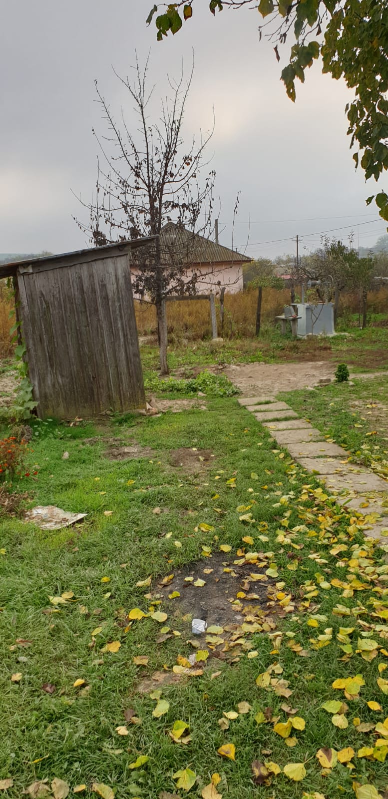 Casa de vanzare la tara Hoisesti, 2 camere, 16000 EUR